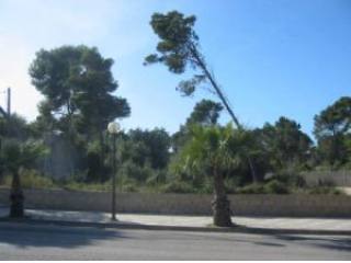 Urban plots of about 500 m2