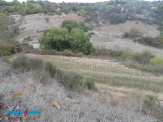Agricultural Land in Psathi, Pafos
