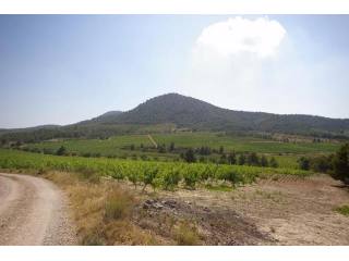 6 bedroom Villa For Sale: Bodega, Bullas