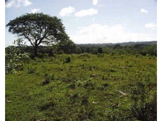 Beautful Lot For Sale In Cabarete C5
