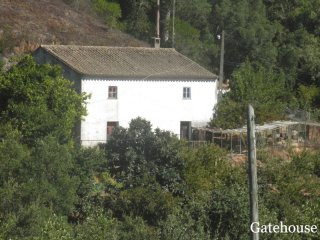 Portugal Small Farm For Sale In..
