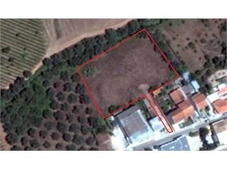 Lot - Paderne - Albufeira - Algarve -..