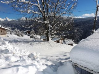 Constructible Land For 1-2 Chalets, Les..