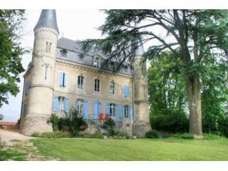 19th Century Chateau, Vineyard Views