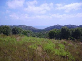 Land sea view for sale in Sardinia -..