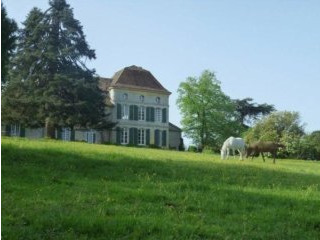 Chateau For Sale With Various..