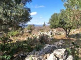 Land In Crete For Sale