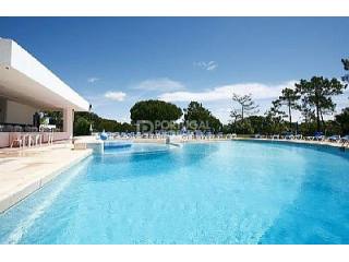 Stunning 1 Bedroom Apartment