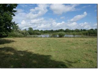Twelve acres with large lake close to..