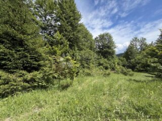GORSKI KOTAR STARI LAZ, 3970m2 djelomično građevinsko