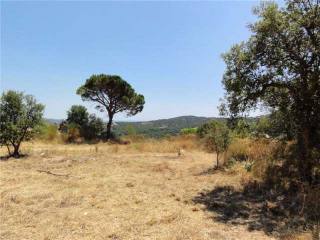 Solar For Sale Costa Brava Calonge