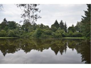 Vente Terrain St Priest Les Fougeres