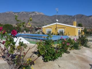 Country House - Villa in Hondon de las..