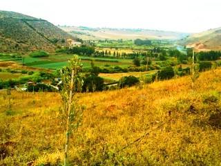 2.4 Hectares Land - Titled - Sidi Ben..