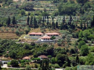 B587- FOR SALE REAL ESTATE 8