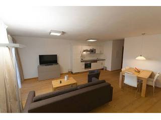 Beautiful apartment in ski resort..