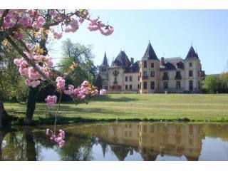 14 bedroom Castle For Sale: 03000 ALLIER