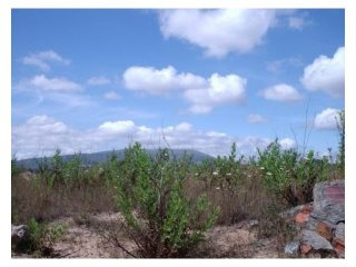 Land , Alenquer
