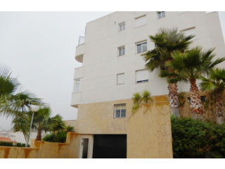 The Palms*