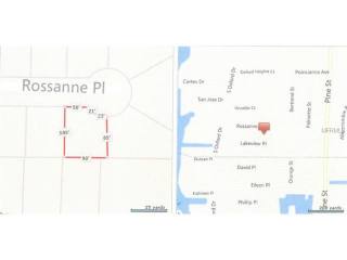 Land For Sale: Rossanne Pl, Englewood..