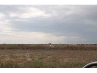 Larnaca