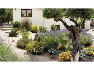 5-Bed 3-Bath Villa In Orba - Orba