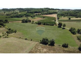 Istra, Vižinada, negrađevinsko zemljište 11 290 m2