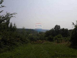 Istra, Krasica, Brajki atraktivno zemljište