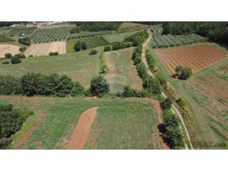 Istra, Vižinada, poljoprivredno zemljište 19 280 m2