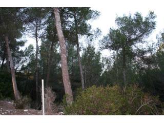 Large Plot With Views To Galatzo And..