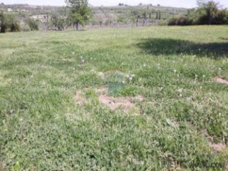 Istra, Brtonigla lijepo građevinsko zemljište