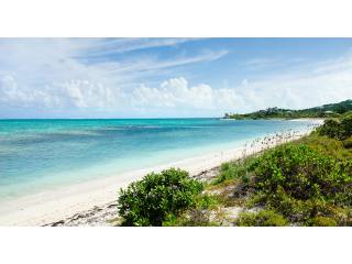 Beachfront Land - Thompson Cove -..