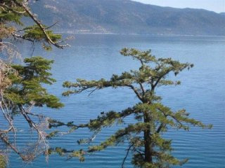 Land For Sale: Incline Village..