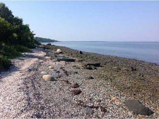 Land For Sale: Rhode Island, Rhode..