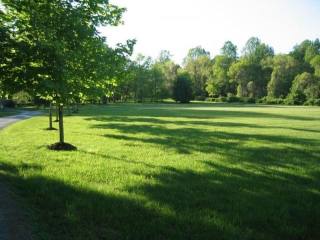 Land For Sale: 73 Post Kunhardt Rd