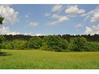 5 bedroom Land For Sale: Provence..