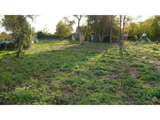 Site