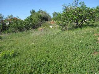Building Plot For Sale - Loule