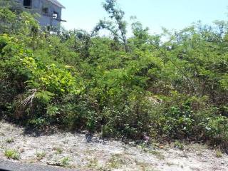 Singlefamilyvacant - This 7,200 sq ft..