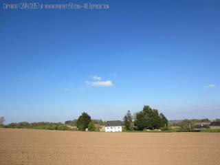 Large Family House with Outbuilding