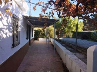 1 bedroom, 1 bathroom Finca/Country..