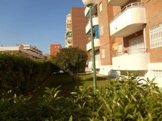 2 Bedroom 1 Bathroom Apartment In Punta..