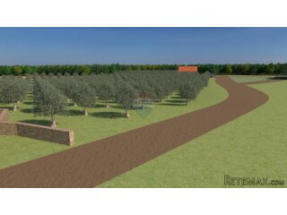 Istra, Bale, poljoprivredno zemljište od 12.200 m2 sa moguć