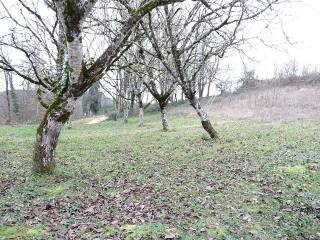 Vente Terrain St Vincent De Cosse