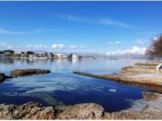 Frontline plot in Alcudia