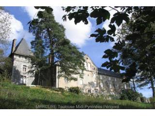 8 bedroom Castle For Sale: 81000 TARN