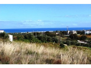 DCP-223 Stunning Plot in Mathes Just..