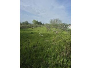 SMOKOVIĆ - GRAĐEVINSKO ZEMLJIŠTE - 2885 M2- PRODAJA