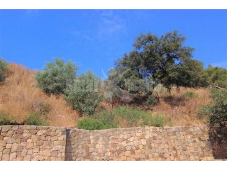Plot/land For Sale In Elviria..