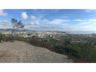Plot The King of the World - Ibiza Town